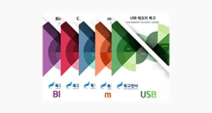 SW 커스터마이징