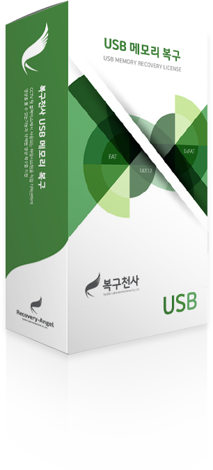USB 메모리 복구