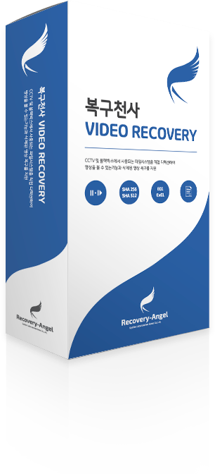 VIDEO RECOVERY